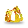 harness for small dogs